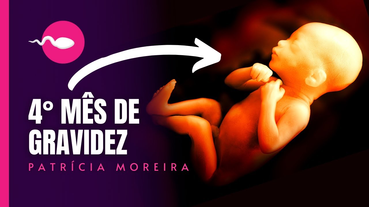 4 MESES DE GRAVIDEZ | Semanas 13, 14, 15, 16