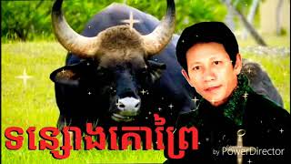 ទន្សោងគោព្រៃចង្វាក់ចូកកំពឹសច្រៀងដោយលោកណូយ វ៉ាន់ណេត