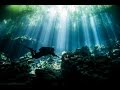 This is why we dive Cenotes!