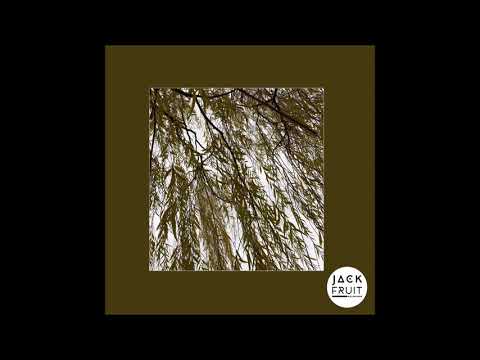 PREMIERE: Dompe - Good Vibration (Original Mix) [Jackfruit Recordings]