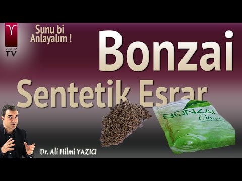 download lagu mp3 mp4 Bonzai Nedir, download lagu Bonzai Nedir gratis, unduh video klip Bonzai Nedir