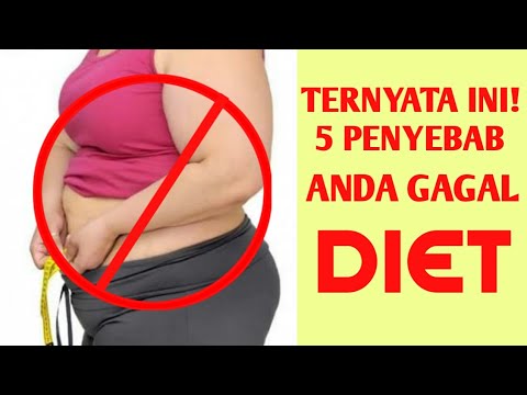 Anak kelebihan berat badan menyusui Otot dan lemak untuk menurunkan berat badan
