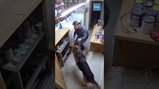 German Shepherd Drags Owner Clear Before Flash Fire From Chemical Spill