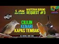 REQUEST MASTERING 4 JOSS GANDOOSSSS 3 In 1 MASTERAN KICAU BURUNG CILILIN KATEM KENARI AMBYAAAR