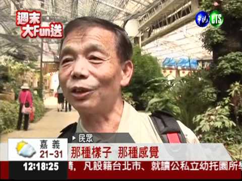 牡丹花盛開! 杉林溪美景如畫