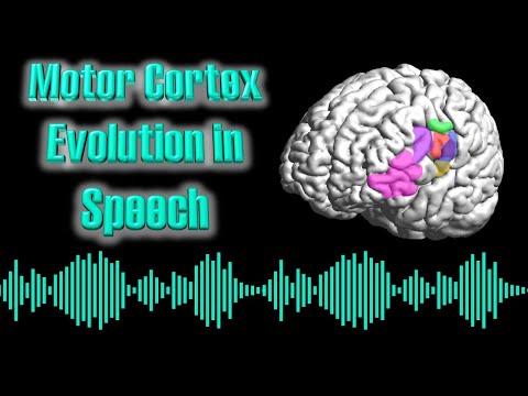 Evolution of the Motor Cortex for Speech Production | Brown et al. (2020)