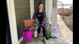 Let's Grow: Kitchen Herb Garden ENGLISH GARDENS