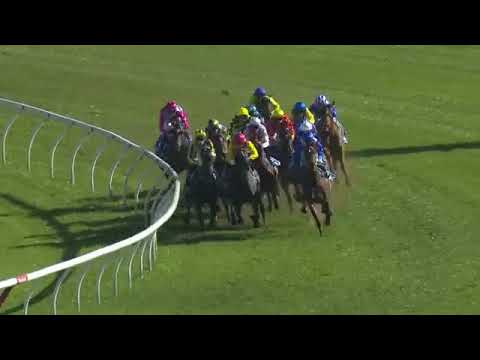 2018 Flight Stakes | Oohood