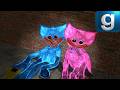 Gmod Poppy Playtime Torturing Huggy Kissy