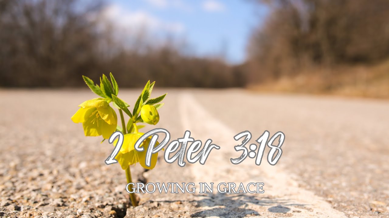 Growing in Grace - 2 Peter 3:18