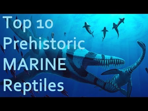 Top 10 Prehistoric MARINE Reptiles