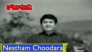 Nestham Choodara Song Lyrics - Thota Ramudu
