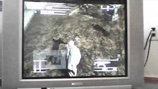 hitman blood money requiem