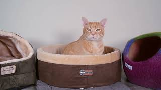 K&H Thermo Kitty Cat Bed Review (We Tried It)