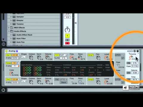 Live 8 402 - Designing Sounds for Dance Music - 20: Polysynth pt. 1