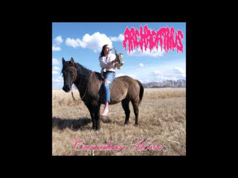 Archagathus - Sexy grinder/Canadian hoser