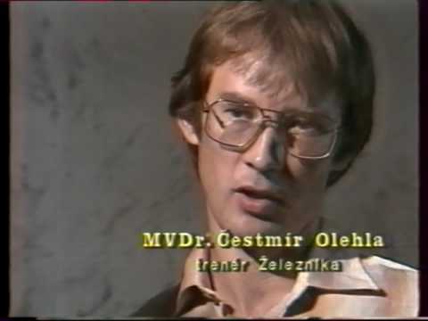 Pokus o portrét koně aneb Srdce šampiona