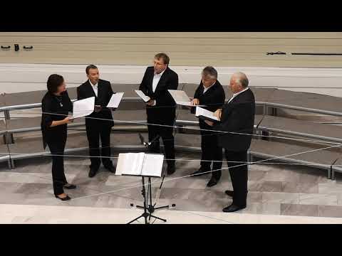 Zven kvintet "Pleničke je prala"