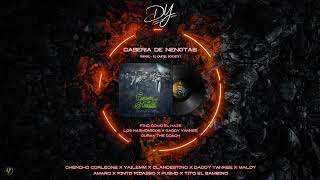 Plan B, Daddy Yankee, Pinto Picasso &amp; Pusho  - Caseria De Nenotas (Remix)