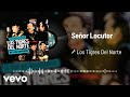 Los Tigres Del Norte - Señor Locutor (Live / Audio)