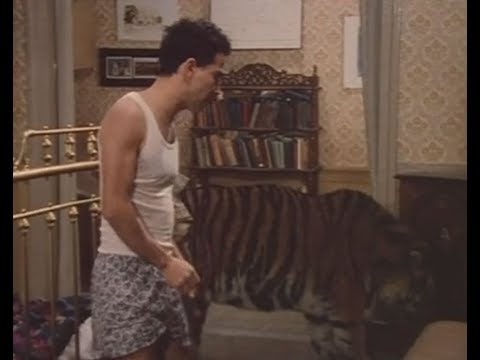 Classe di ferro - Maria c'è un gatto grande - quelli della tigre episodio 7
