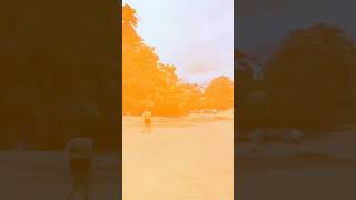 Tour Histórico a Isla San Lucas