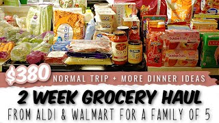 Family Grocery Haul + 2 Week Dinner Meal Plan
