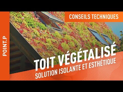 Comment réaliser une toiture végétalisée ?