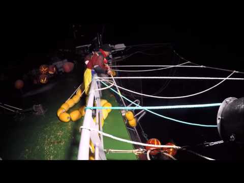 AUSTRAL LEADER II AT21