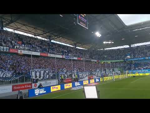 MSV Fans Layla an der Wedau