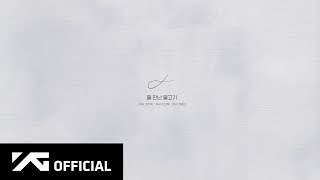 Cover art for FISH IN THE WATER