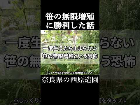 ホワイトビネガーを使って除草する方法は？雑草を破壊する他の天然物にはどのようなものがありますか?  庭園
