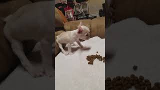 Elsa progresses September 21, 2017