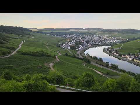 Good Morning Nittel!