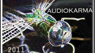 Audiokarma - Derecho  Vivir ( estudio versión)