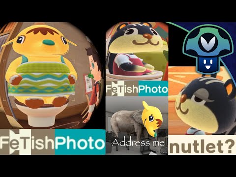 Vinny - Animal Crossing: New Horizons 3.0 Update + Happy Home Paradise (PART 71)