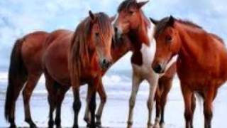 All The Pretty Little Horses sung by Lara Bisserier