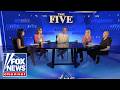 ‘The Five’: Anti-AI frenzy picks up socialist support
