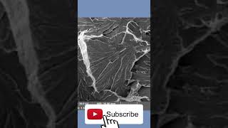 Brittle Fracture  #Shorts