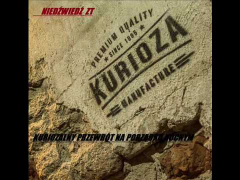Niedźwiedź ZT - Kuriozal