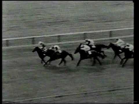 1981 William Hill Cheveley Park Stakes