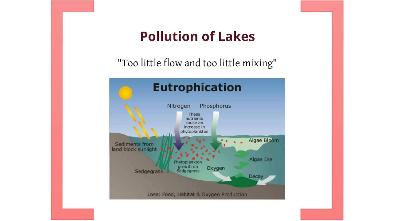 Environmental Science: Water Pollution