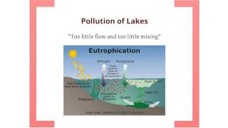 Environmental Science: Water Pollution
