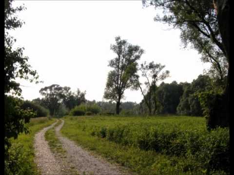 Međimurje kak si lepo zeleno - Vlado Mihaljević