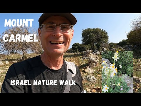 Caminhada pela natureza no Monte Carmelo