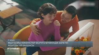 Жыл бойы көкөністер өсіруге мүмкіндік беретін ақылды үй бақшасы