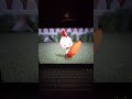 Chicken Little 2005 20th Anniversary Kirby Appear You Never Belive Me