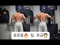 등