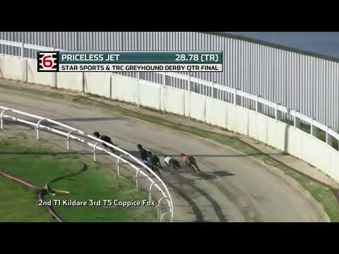 GREYHOUND DERBY LANES - THE SEMIS