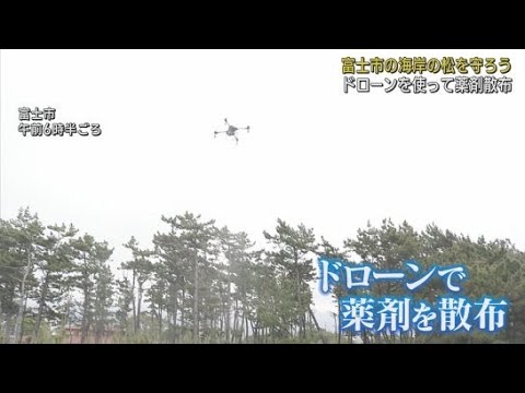 YouTube Video 海岸の松林を松くい虫から守ろう 静岡・富士市でドローンを使った薬剤の散布が実施